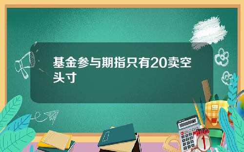 基金参与期指只有20卖空头寸