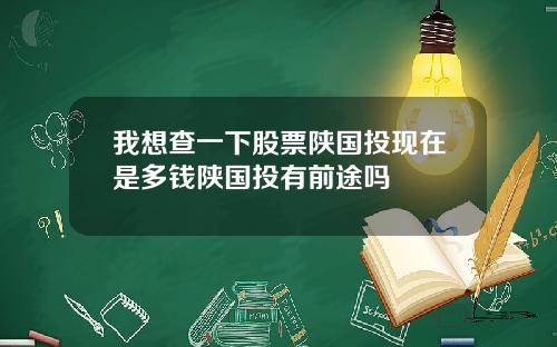 我想查一下股票陕国投现在是多钱陕国投有前途吗