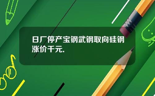 日厂停产宝钢武钢取向硅钢涨价千元.