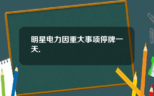 明星电力因重大事项停牌一天.