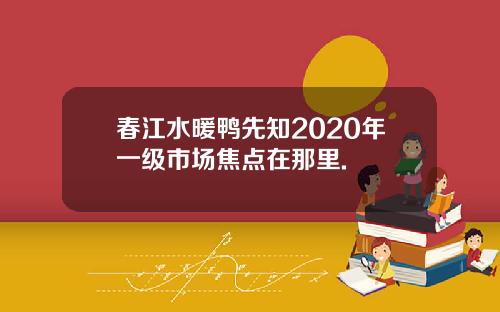 春江水暖鸭先知2020年一级市场焦点在那里.