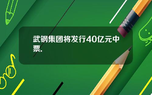 武钢集团将发行40亿元中票.