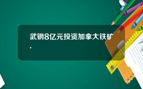 武钢8亿元投资加拿大铁矿.