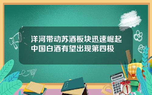 洋河带动苏酒板块迅速崛起中国白酒有望出现第四极