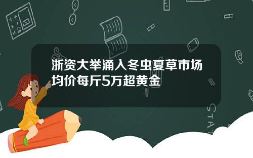 浙资大举涌入冬虫夏草市场均价每斤5万超黄金