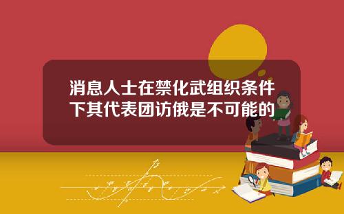 消息人士在禁化武组织条件下其代表团访俄是不可能的