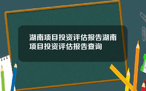 湖南项目投资评估报告湖南项目投资评估报告查询