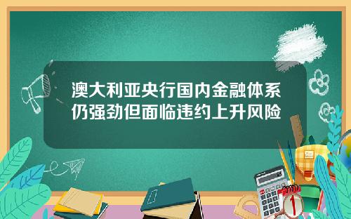 澳大利亚央行国内金融体系仍强劲但面临违约上升风险