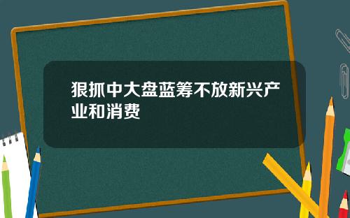 狠抓中大盘蓝筹不放新兴产业和消费