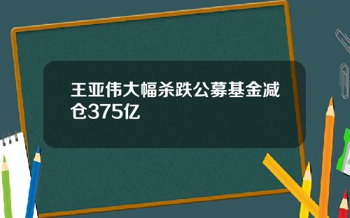 王亚伟大幅杀跌公募基金减仓375亿