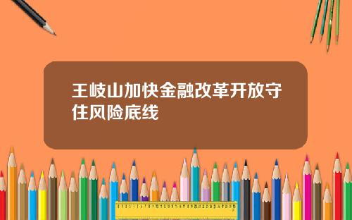 王岐山加快金融改革开放守住风险底线