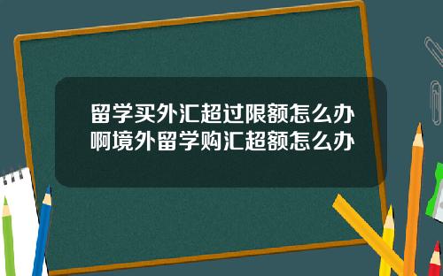 留学买外汇超过限额怎么办啊境外留学购汇超额怎么办