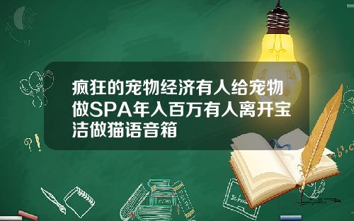 疯狂的宠物经济有人给宠物做SPA年入百万有人离开宝洁做猫语音箱