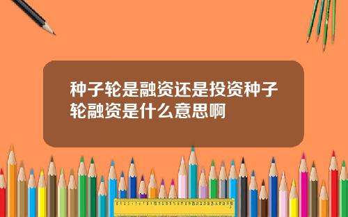 种子轮是融资还是投资种子轮融资是什么意思啊