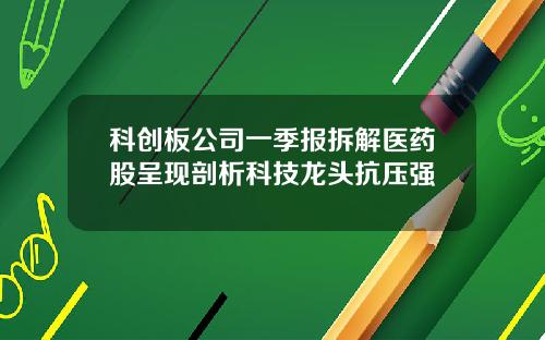 科创板公司一季报拆解医药股呈现剖析科技龙头抗压强