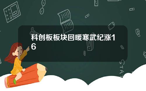 科创板板块回暖寒武纪涨16