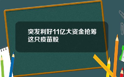 突发利好11亿大资金抢筹这只疫苗股