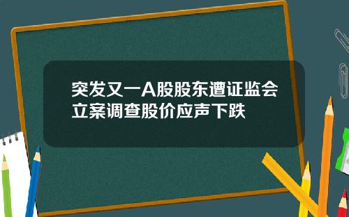 突发又一A股股东遭证监会立案调查股价应声下跌