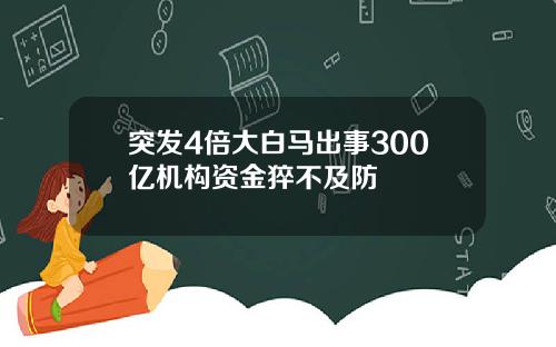 突发4倍大白马出事300亿机构资金猝不及防