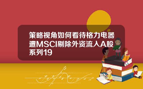 策略视角如何看待格力电器遭MSCI剔除外资流入A股系列19