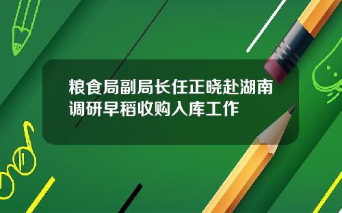 粮食局副局长任正晓赴湖南调研早稻收购入库工作