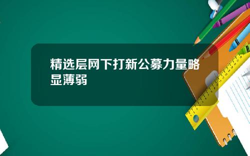 精选层网下打新公募力量略显薄弱