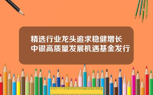 精选行业龙头追求稳健增长中银高质量发展机遇基金发行