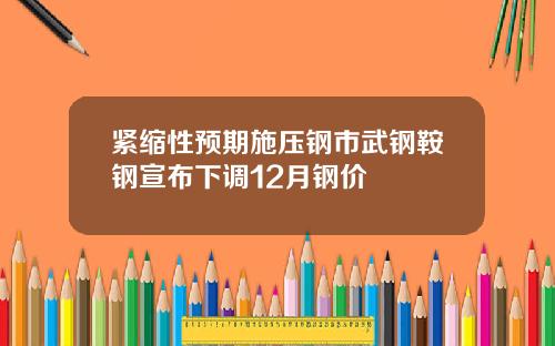 紧缩性预期施压钢市武钢鞍钢宣布下调12月钢价