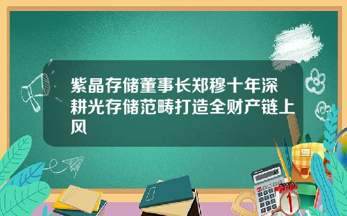 紫晶存储董事长郑穆十年深耕光存储范畴打造全财产链上风