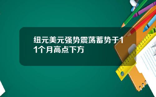 纽元美元强势震荡蓄势于11个月高点下方