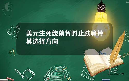 美元生死线前暂时止跌等待其选择方向