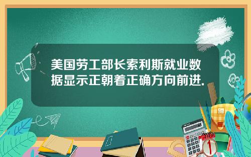 美国劳工部长索利斯就业数据显示正朝着正确方向前进.