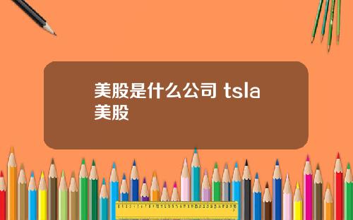 美股是什么公司 tsla美股