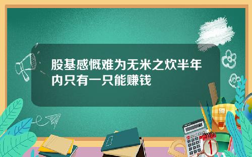 股基感慨难为无米之炊半年内只有一只能赚钱