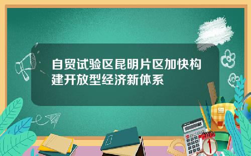 自贸试验区昆明片区加快构建开放型经济新体系