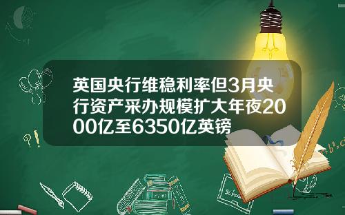 英国央行维稳利率但3月央行资产采办规模扩大年夜2000亿至6350亿英镑