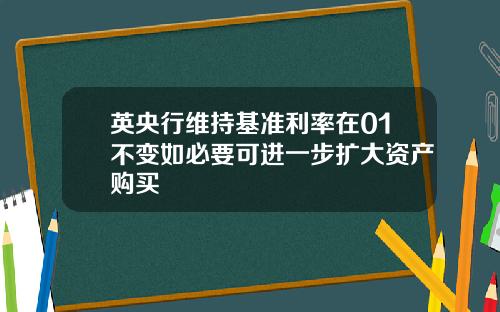 英央行维持基准利率在01不变如必要可进一步扩大资产购买