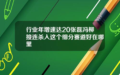 行业年增速达20张磊冯柳接连杀入这个细分赛道好在哪里