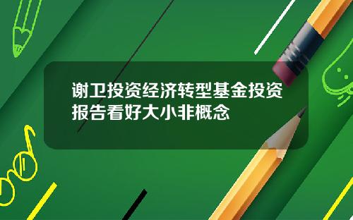 谢卫投资经济转型基金投资报告看好大小非概念