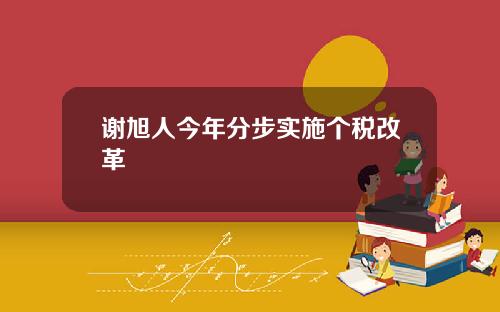 谢旭人今年分步实施个税改革