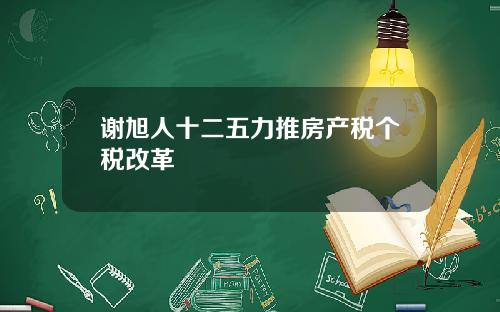 谢旭人十二五力推房产税个税改革