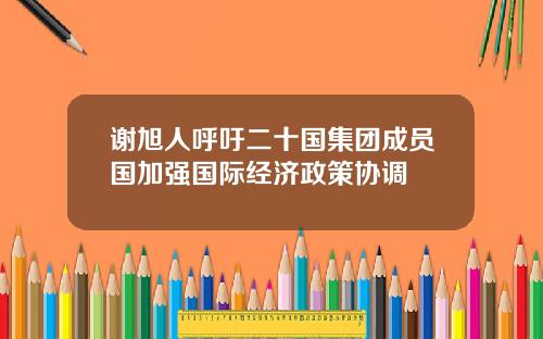 谢旭人呼吁二十国集团成员国加强国际经济政策协调