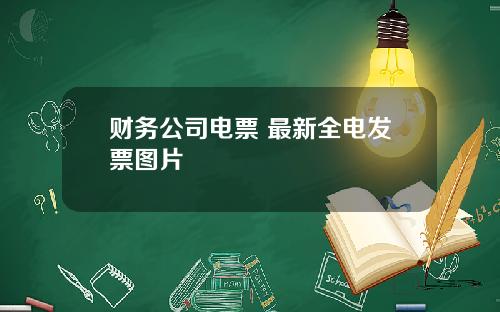 财务公司电票 最新全电发票图片