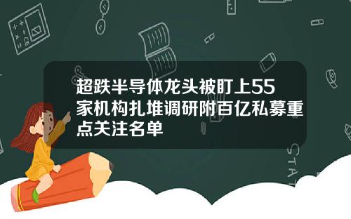 超跌半导体龙头被盯上55家机构扎堆调研附百亿私募重点关注名单