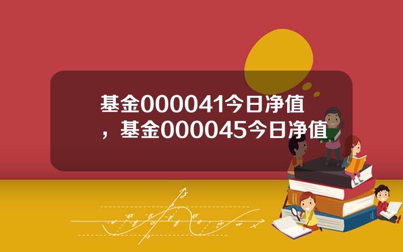 基金000041今日净值，基金000045今日净值