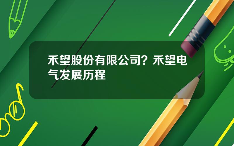 禾望股份有限公司？禾望电气发展历程