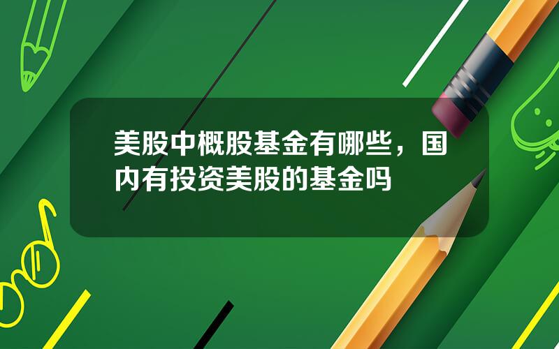 美股中概股基金有哪些，国内有投资美股的基金吗