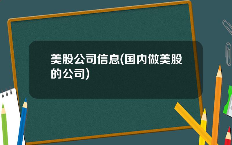 美股公司信息(国内做美股的公司)