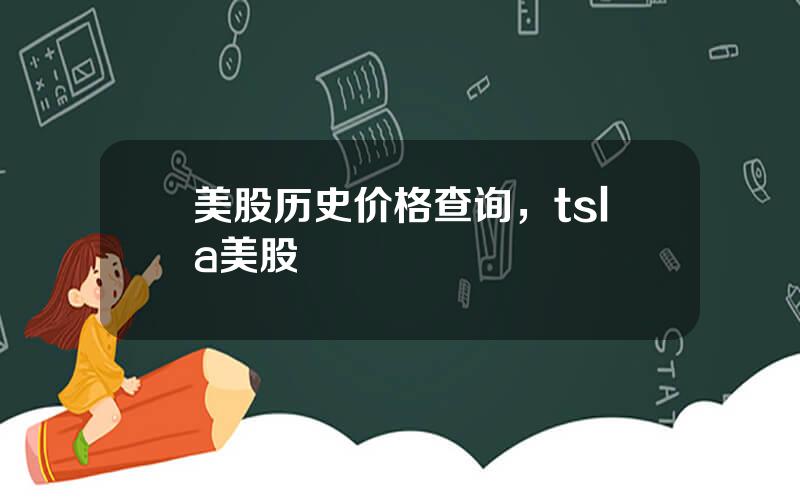 美股历史价格查询，tsla美股