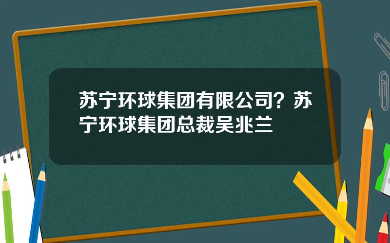 苏宁环球集团有限公司？苏宁环球集团总裁吴兆兰